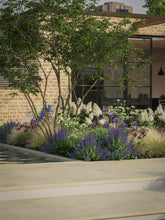 products/SotoHouseSun-12_fb8b8d69-e21b-4eda-b582-2d07b6016617.jpg